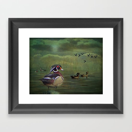 Wood Ducks at the Lake Framed Art Print