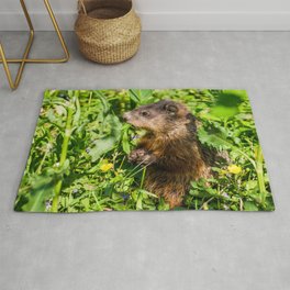Groundhog Pop-up, Cute Animal Photograph Rug