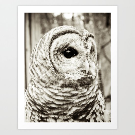 Wise Old Owl Art Print
