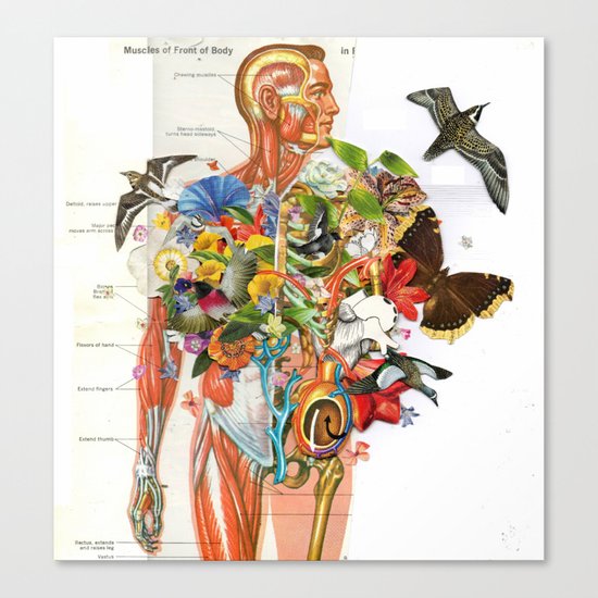 Muscles Canvas Print