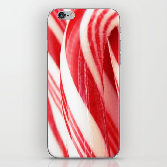 The Painted Forest iPhone & iPod Skin