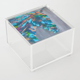 "Indy Unicorn Spirit" Acrylic Box
