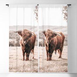 Highland Cow Blackout Curtain