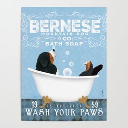Bernese Mountain Dog Berner Bath Soap bubble Bath clawfoot tub Poster