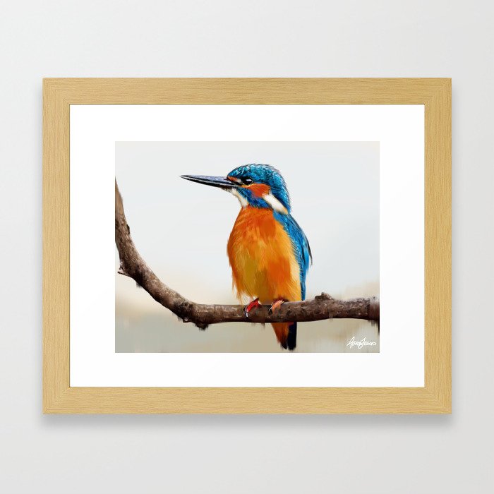 Common Kingfisher Framed Art Print