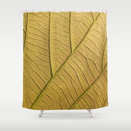 Golden yellow leaf pattern in the morning.  Shower Curtain