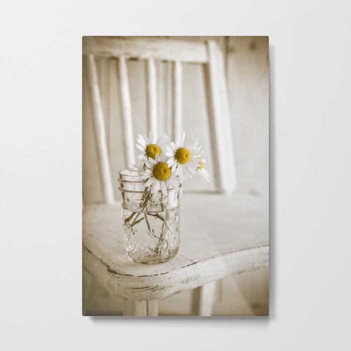 Simple White Daisy Flowers Metal Print