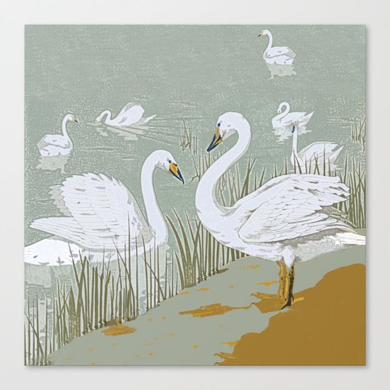 Swan song Canvas Print