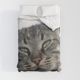 Charming Brown Tabby Cat Photo Portrait Comforter