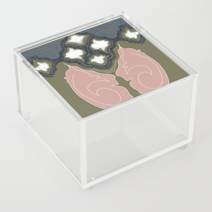 Flow Acrylic Box