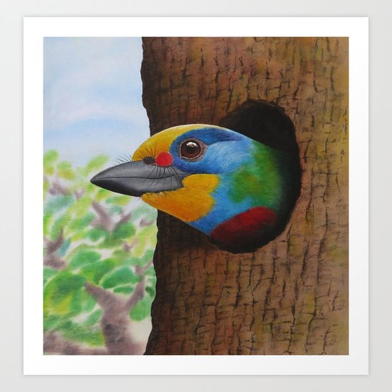 Beautiful Bird Art Print