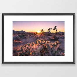 Joshua Tree Cholla Cactus Sunset Framed Art Print