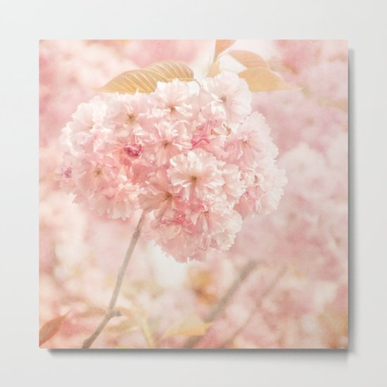 JAPANESE CHERRY BLOSSOMS Metal Print