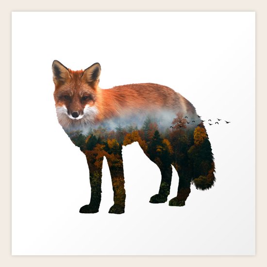 Fox Art Print