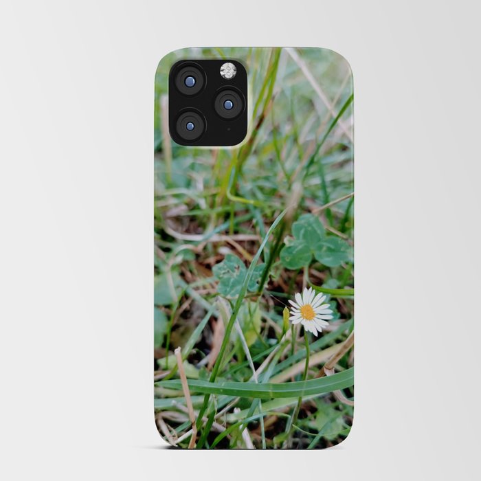 Daisy flower margarita  iPhone Card Case