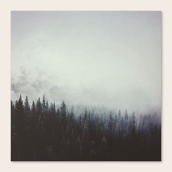 Gaurdians Canvas Print