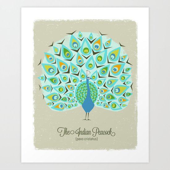 The Indian Peacock Art Print