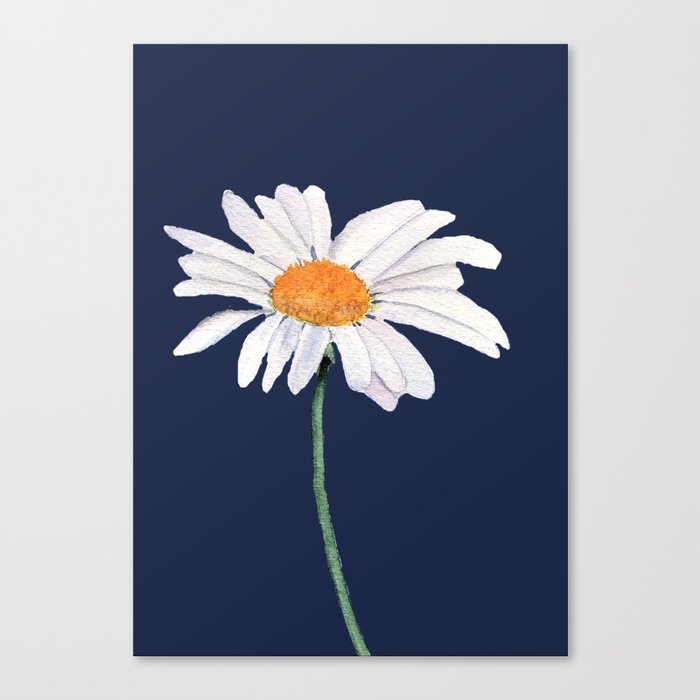 Realistic Daisy Painting Canvas Print by Land-and-Sea Art Studio