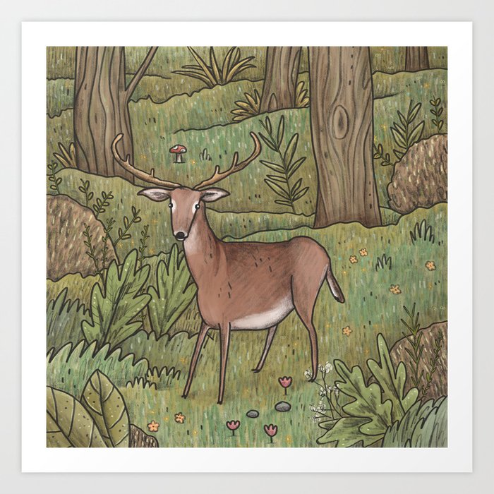 Deer in Woodland Art Print