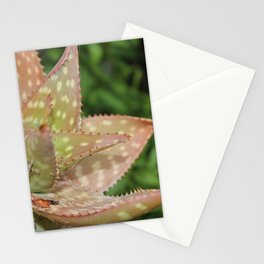 Extreme Nature Stationery Cards