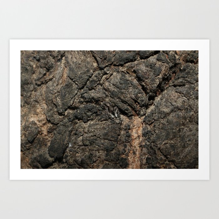 Gray Wall Jumper Art Print By Acouplesperspective Society6