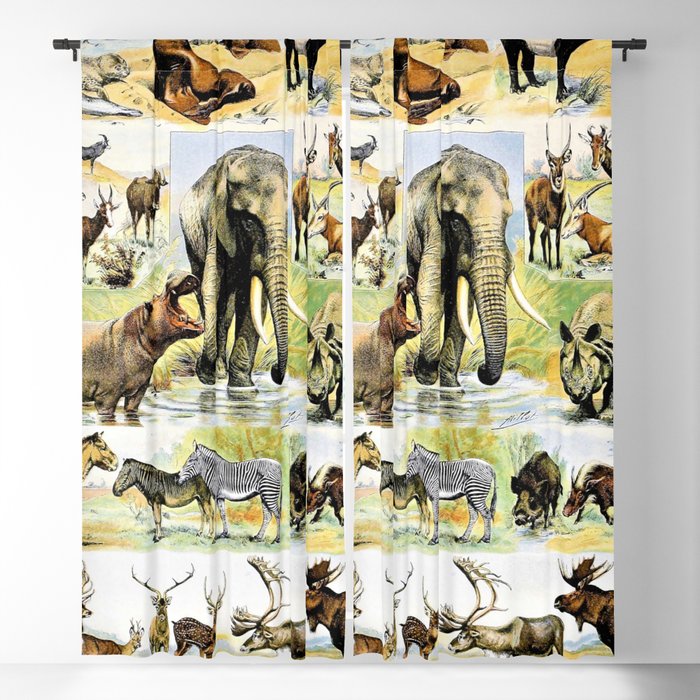Adolphe Millot "Mammals" 2. Blackout Curtain