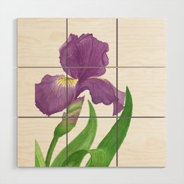 Stunning Purple Iris Flower Wood Wall Art