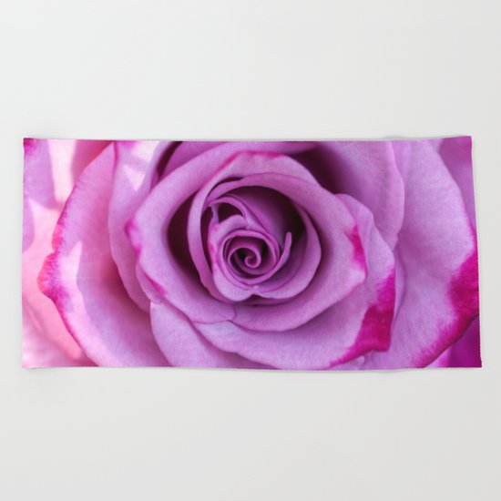 Heart of a rose I - Pink and purple Roses flowers Beach Towel