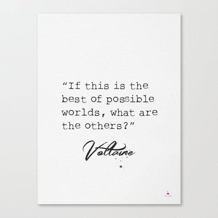 Voltaire quote 5 Canvas Print