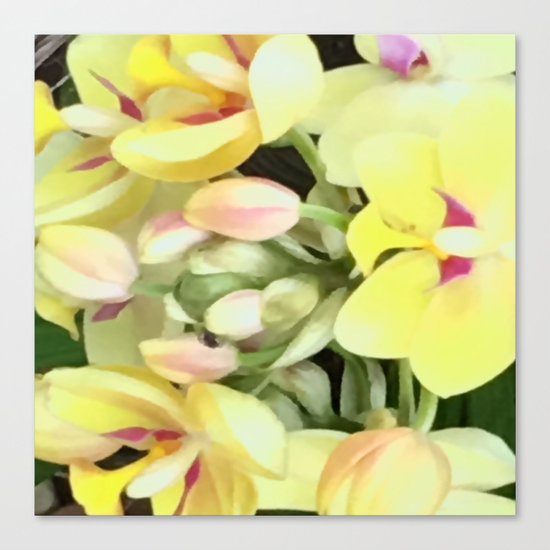 bloom Canvas Print
