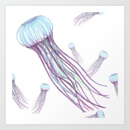 Jellyfish Pattern  Art Print