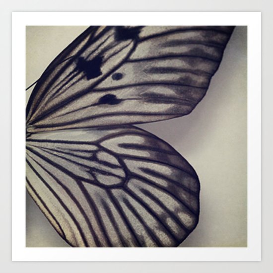 Black and Grey Wing Art Print