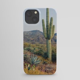 Spring in the Desert iPhone Case