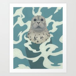 Harbor Seal Art Print
