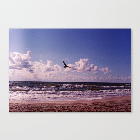 Seagull Canvas Print