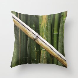 Bamboo Throw Pillow