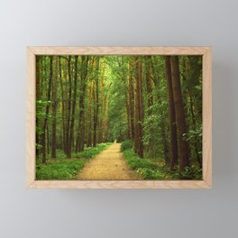 Forest path Framed Mini Art Print