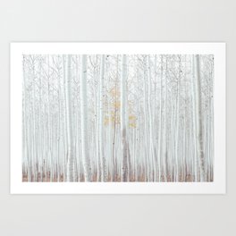 White tree forest Art Print