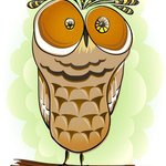 Avisnana Graphics