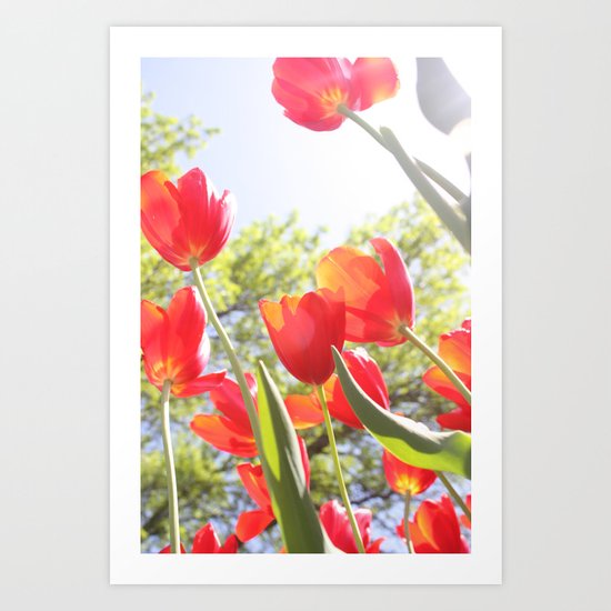 Tiptoe Through The Tulips Art Print
