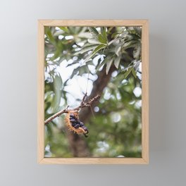 tree Framed Mini Art Print