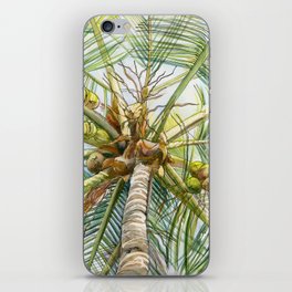 Coconut palm. Original watercolor painting iPhone Skin