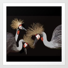 Crested cranes Art Print