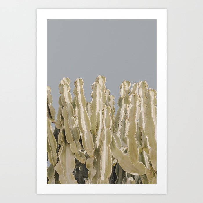 Cactus Plant Blue Sky Art Print