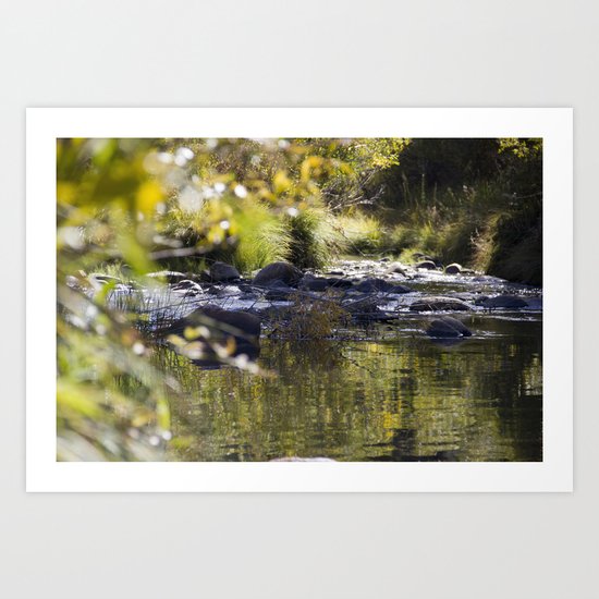 Creekside View Art Print