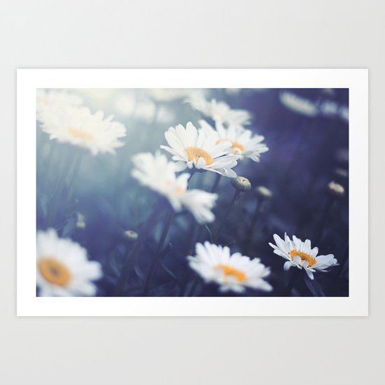 Daisies Art Print