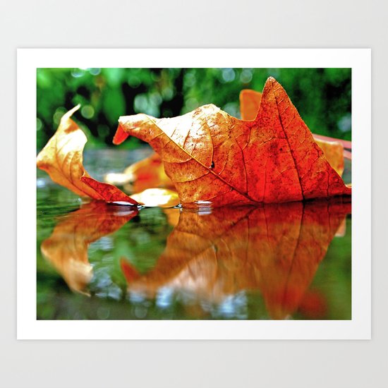 Autumn leaf reflected Art Print