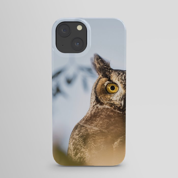 Okanagan Owl iPhone Case