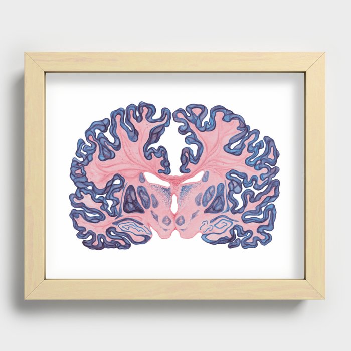 Gyri and Swirls of Human Brain Recessed Framed Print