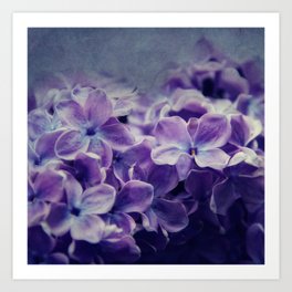 lilac Art Print